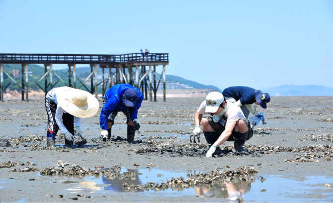 포내어촌에서 어촌체험을 하고 있는 모습. [사진=해양관광포털]