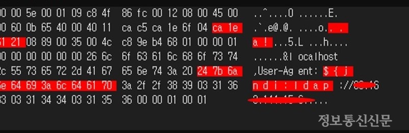 로그4j 취약점 패킷 탐지 사례. [자료=지니언스-엑사비스]