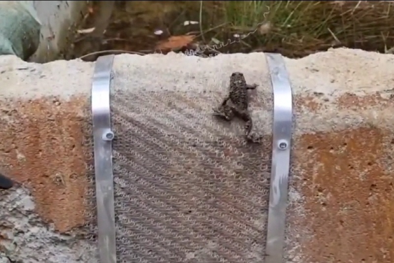 LG유플러스는 멸종위기에 놓인 양서류를 보호하는 '개구리 사다리' 설치 임직원 봉사활동을 진행했다고 15일 밝혔다. [사진=LG유플러스]