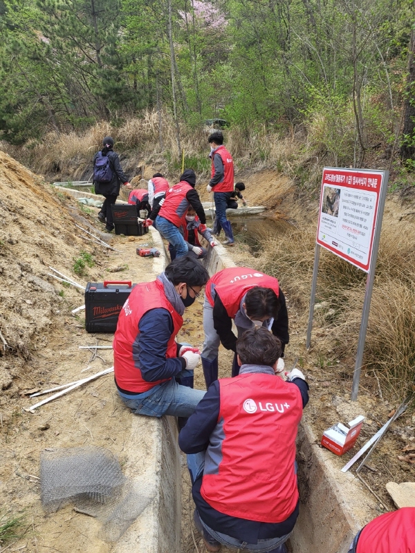 LG유플러스는 멸종위기에 놓인 양서류를 보호하는 '개구리 사다리' 설치 임직원 봉사활동을 진행했다고 15일 밝혔다. [사진=LG유플러스]