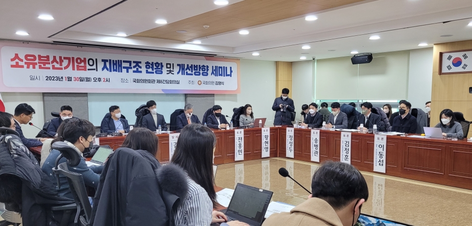 30일 국회에서 소유분산 기업의 지배구조 정착을 위한 세미나가 열렸다.