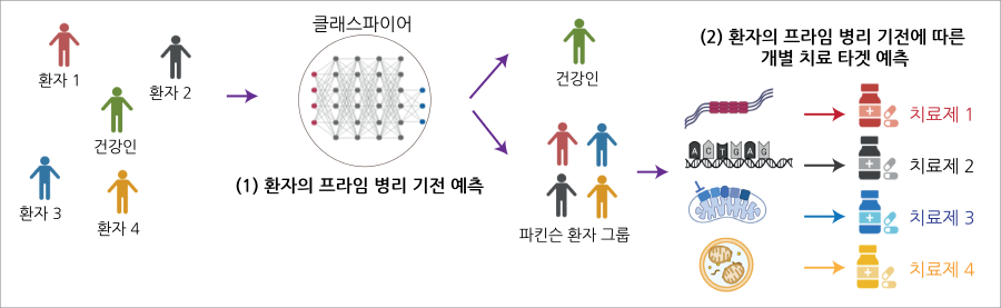 인공지능 기반의 파킨슨 하위 유형 예측 플랫폼: 데이터를 학습한 머신러닝 기반 클래시파이어 (Classifer)는 (1) 모집단을 파킨슨 그룹과 건강한 그룹으로 나누고, 파킨슨 그룹 환자 개개인을 기전적 하위 유형에 따라 추가적으로 분류해 (2) 파킨슨병 환자들의 고유한 질병 하위 유형에 맞는 기전 특이적 효능 약물들을 매칭시킴으로써 파킨슨병 치료 효과를 개선할 수 있다. [출처=KAIST]