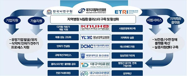 대구시, AI 기반 뇌질환 치료 선도 - 뉴스 썸네일 이미지